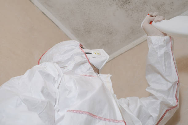 Professional Mold Removal in Pitcairn, PA
