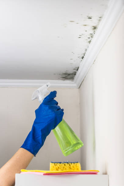 Best Crawl Space Mold Removal  in Pitcairn, PA